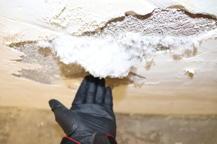 Нарастващата, пълзяща влага транспортира привличащи влагата (хигроскопични) соли, които се намират в строителния материал или почвата, които остават по повърхността на стените под формата на бели, пухкави налепи, когато водата се изпарява. 