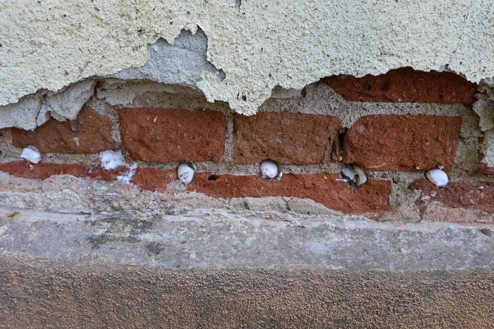 За да бъде ефикасен продуктът за прекъсване на капилярна влага Bikol® Capillary Barrier +, той трябва да се инжектира директно в хоросановите фуги на зидарията. Премахването на мазилката разкрива тези фуги и позволява прецизно пробиване на отворите.