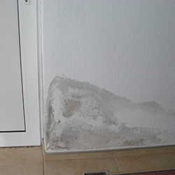 Тъмни петна по стените, вследствие на капилярно покачваща се влага, които при допир са влажни.