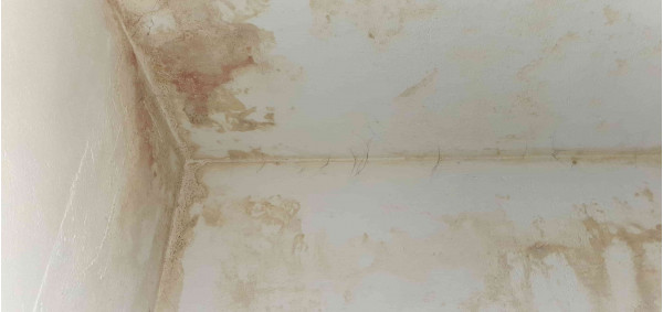 Течове от технологична фуга между стени и таван на сутерен